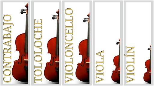 Maple Violín screenshot 3