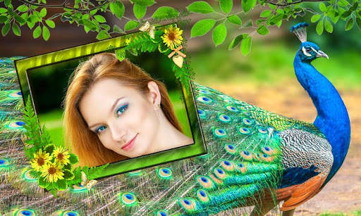 Peacock Photo Frames screenshot 5