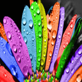 Обои HD (Wallpapers4you) icon