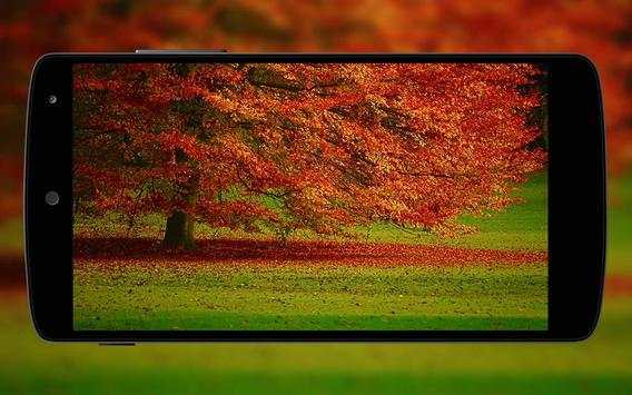 HD Wallpapers screenshot 1