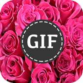 ورود متحركة : صور GIF on 9Apps