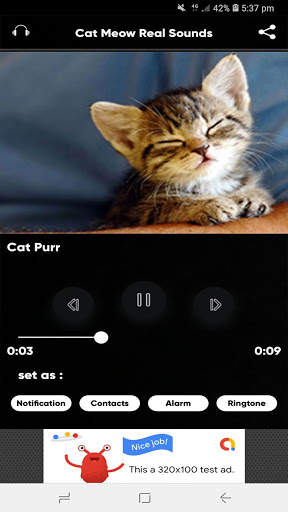 Cat Meow Real Sounds screenshot 6