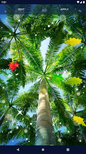 Spring Leaves Live Wallpaper screenshot 7