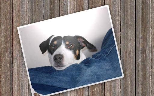 Slideshow 500 FREE screenshot 3
