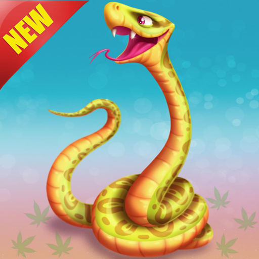 ikon Extreme Snake Zone