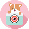 Cozy Camera-Photo&amp;Video Editor icon