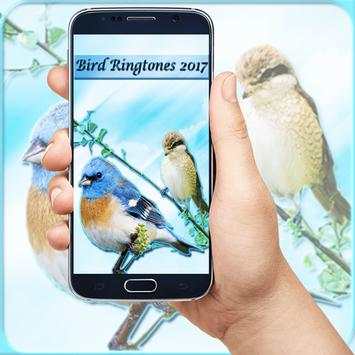 Bird Ringtones 2017 screenshot 1