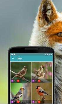 Nature Wallpapers: Birds, Animals, Butterflies screenshot 1