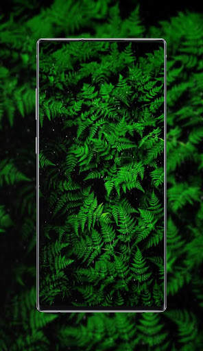 Live Wallpapers - HD & 4K Live backgrounds screenshot 6