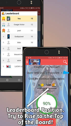 ONLINE Anatomy - Videos, Quizzes and Chats. screenshot 5