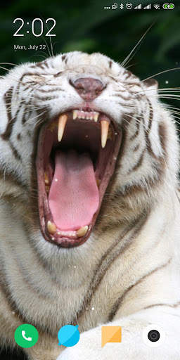 Tiger Live Wallpaper screenshot 3