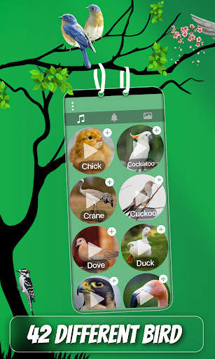 Bird Sound And Ringtones screenshot 2