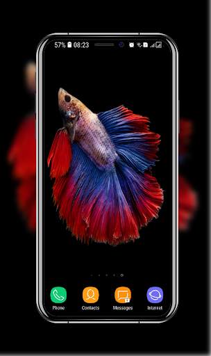 New Betta Fish Wallpaper скриншот 9