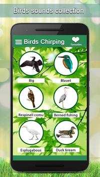 Birds Sounds स्क्रीनशॉट 1