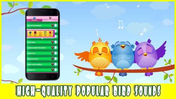 Birds sounds Ringtones screenshot 5