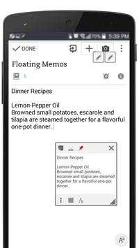 Floating Memos screenshot 7