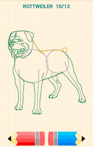 How to Draw Dogs скриншот 11