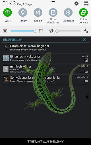 Lizard in phone funny walks screenshot 5