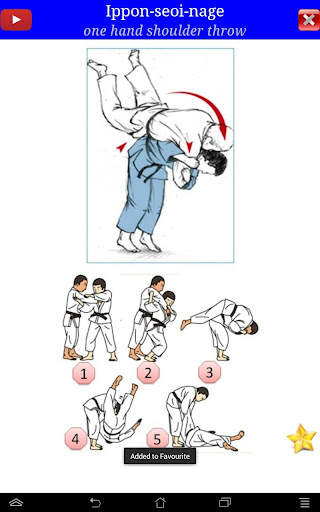 Judo in brief screenshot 20