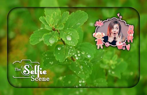 Leaf Photo Editor screenshot 4