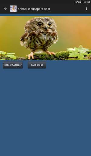 Animal Wallpapers App 🐈🐅🐎 : Animal Background screenshot 15