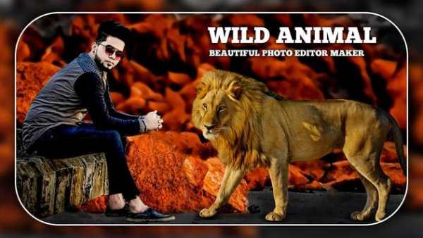 Wild Animal Photo Editor 4 تصوير الشاشة