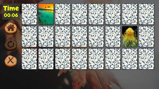Caleb and Sophia's Memory Game screenshot 8