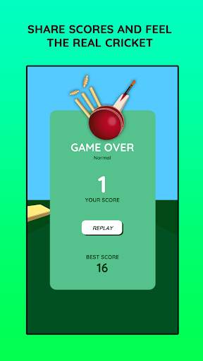 Tic Tok Cricket screenshot 4