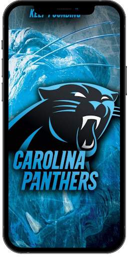 Carolina Panthers Wallpaper 4K screenshot 7