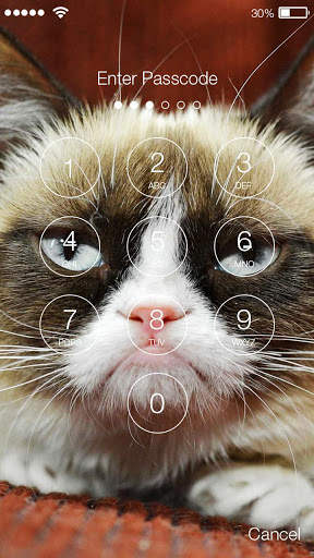 Сats Funny Animals Lock screenshot 2