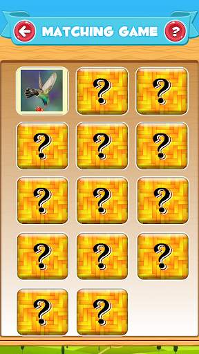 Learn the Birds screenshot 5