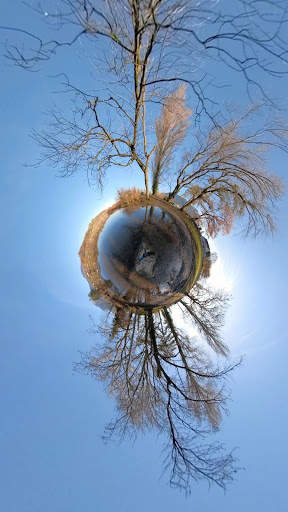 ReShoot 360 - 360 photo and 360 video editing screenshot 4