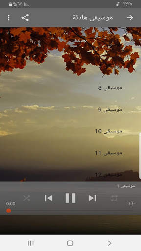 موسيقى هادئة بدون نت screenshot 2