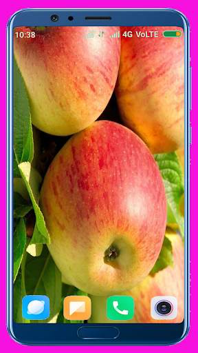 Apple Fruit Wallpaper Best 4K screenshot 15