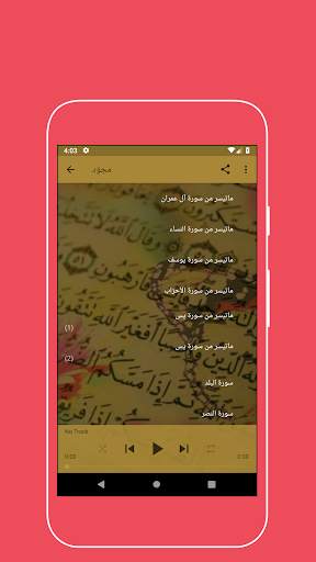 روائع السيد متولي screenshot 3