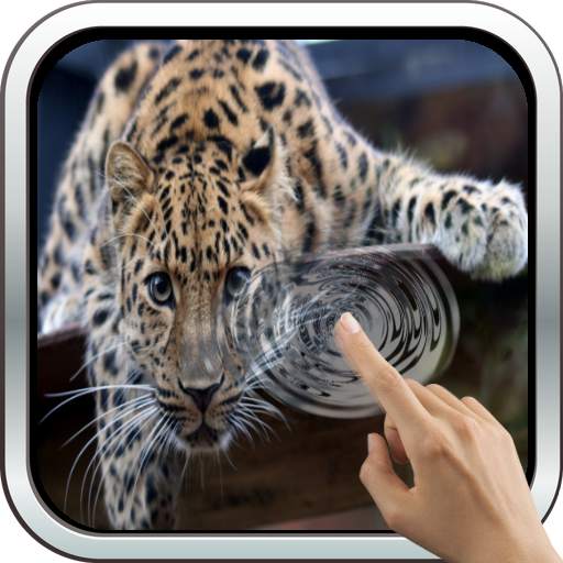 Magic Touch: Leopard Live Wallpaper 10.0