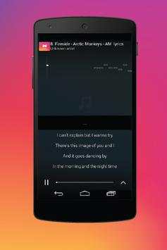 Guide For Music Lyrics match screenshot 3