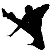 Kung Fu Music Player logo