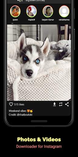 Just Save - Video & Photo Downloader for Instagram screenshot 1