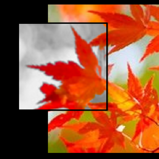 Simple Filter Camera icon