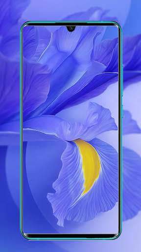 Mi 10 & Mi 10 Pro Wallpaper screenshot 11