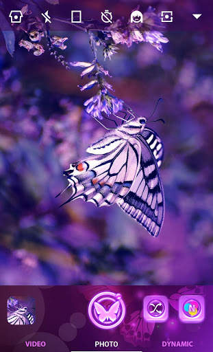 Z CAMERA BUTTERFLY THEME screenshot 3