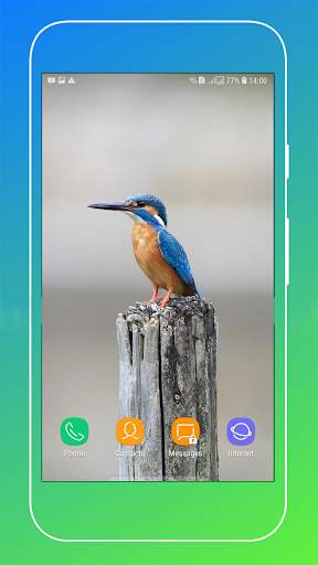 Bird Wallpaper screenshot 11