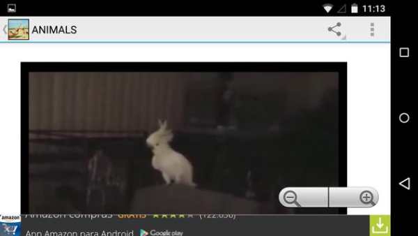 Funny videos screenshot 3