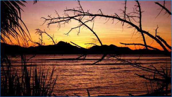 Nature Nice Wallpapers screenshot 2