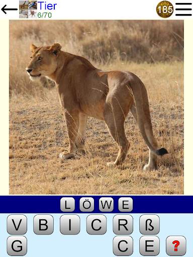 Bild Quiz screenshot 17