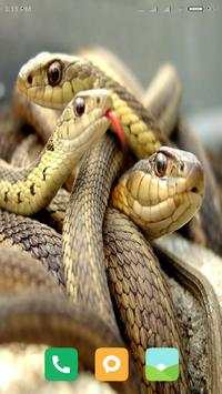 HD Snake Wallpapers screenshot 14