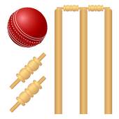 Cricket News in Hindi 1.4