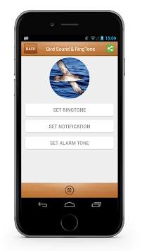 Bird Sound Song & Ringtone screenshot 2