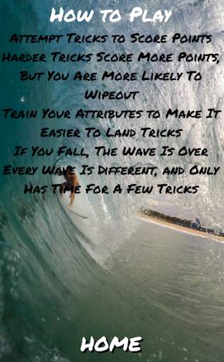Pro Surfer Game screenshot 8
